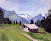 亨利 马蒂斯 : 绿色的针叶林